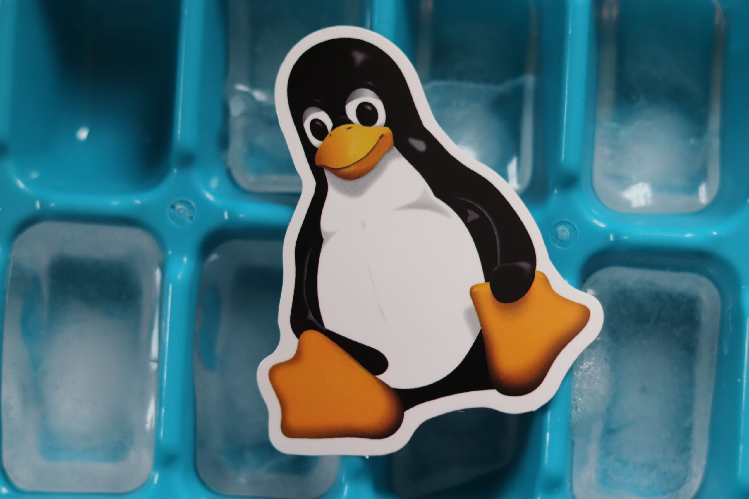 Linux Rising? Yes, if You Join Us! #Blaugust2026
